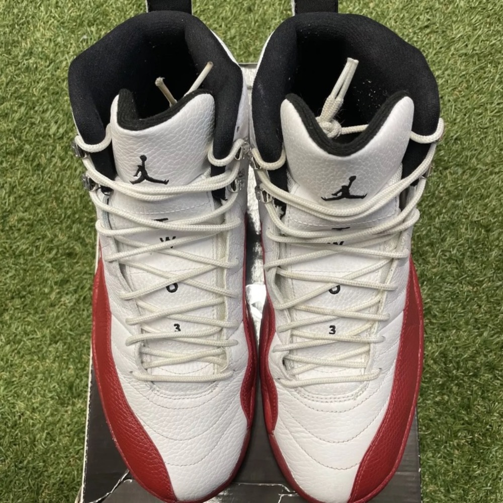 Air Jordan 12